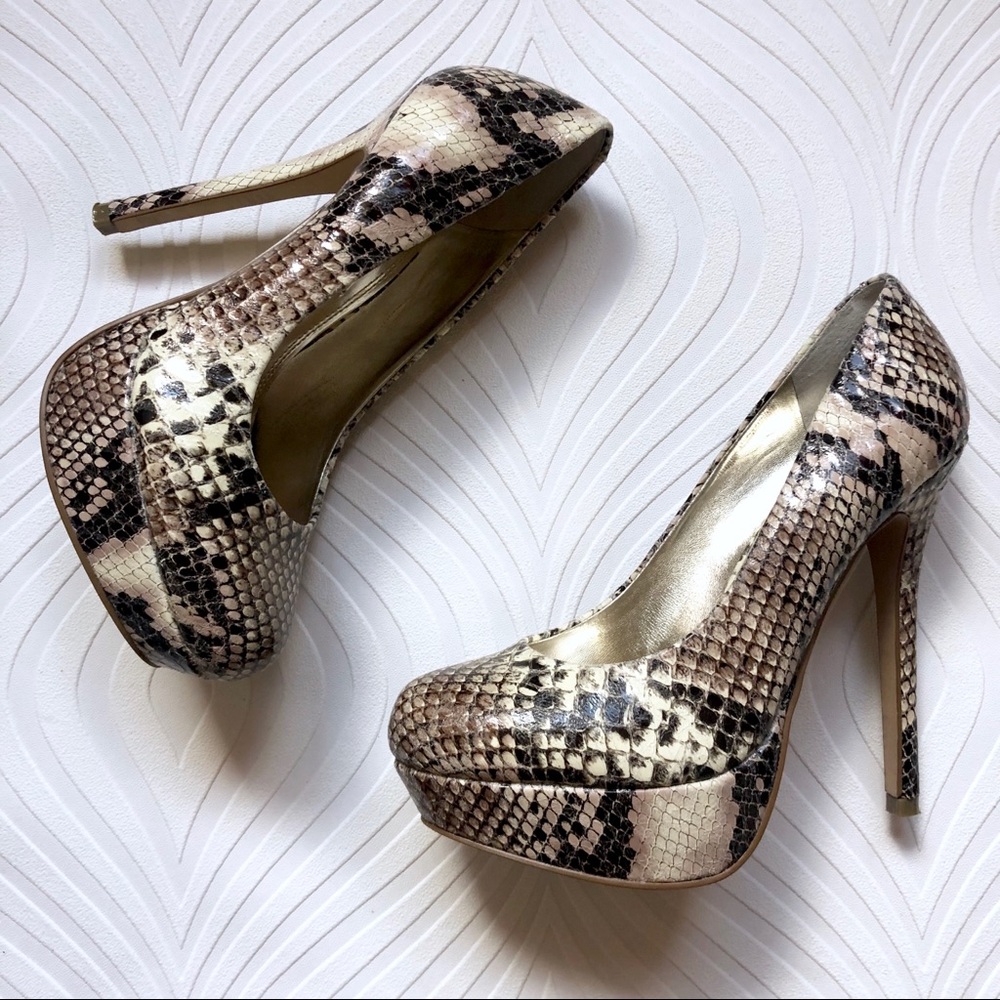 Steve Madden Bevv Snakeskin Pumps